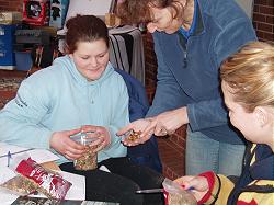 Study horse care in the work place